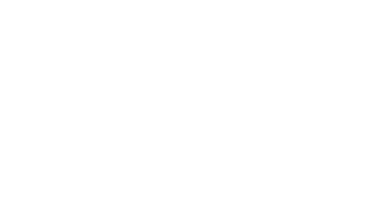 #1 Home Buying Realtors in Seattle - Plat and Parcel